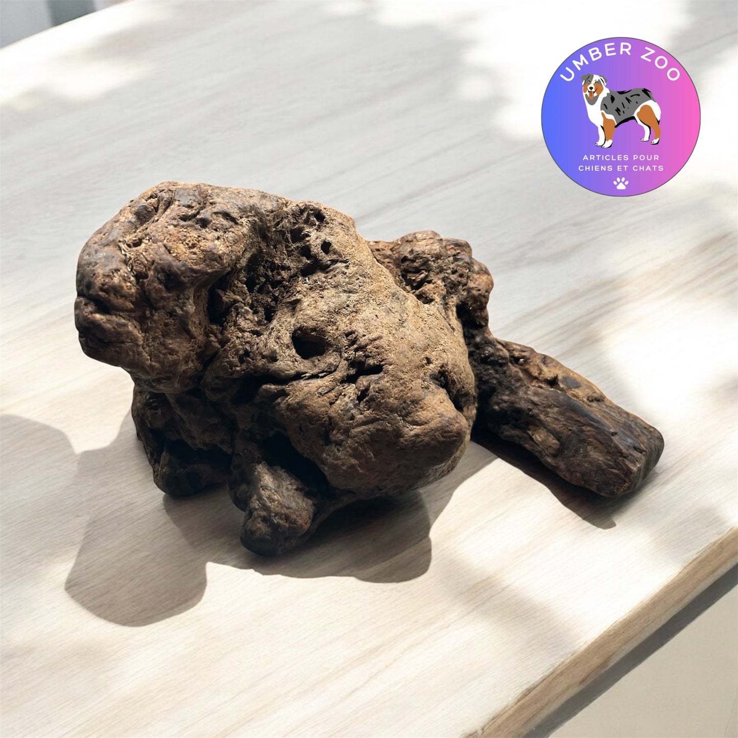 🌿 Racine de Bruyère – Mastication naturelle & apaisante