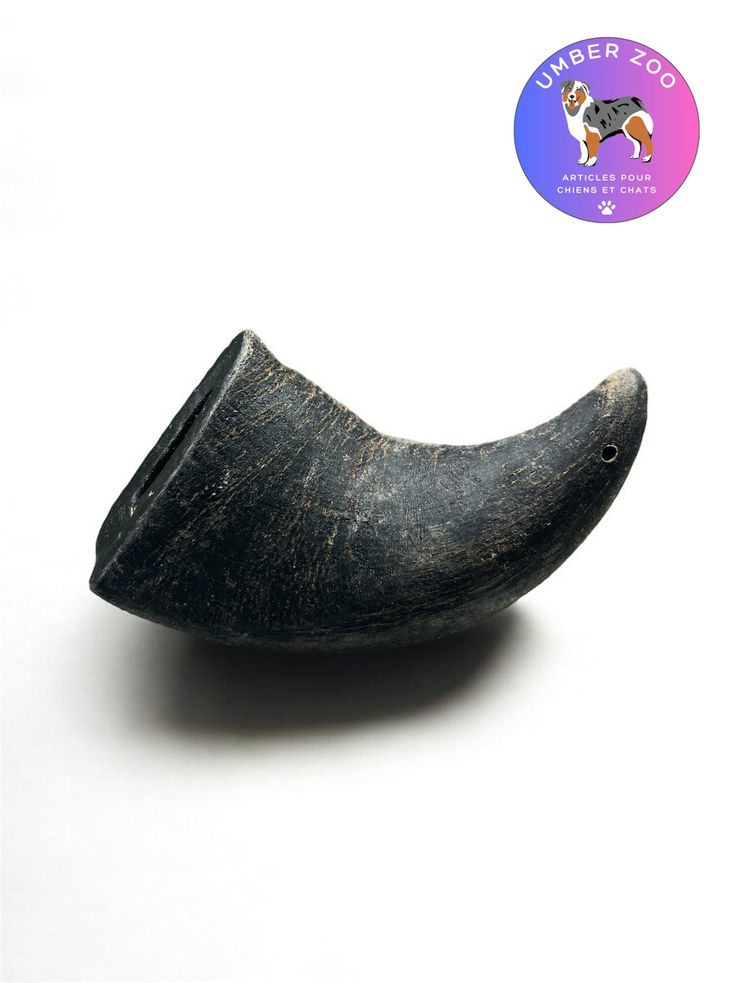 🐾 Corne de Buffle Taille S – Mastication 100 % Naturelle 🐾