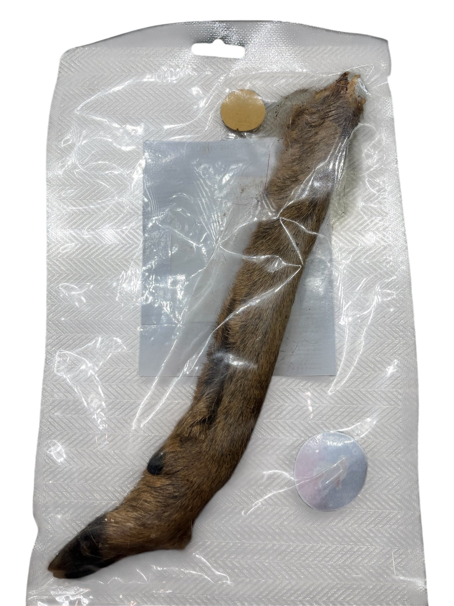 🦌 Patte de chevreuil séchée – 100% naturelle