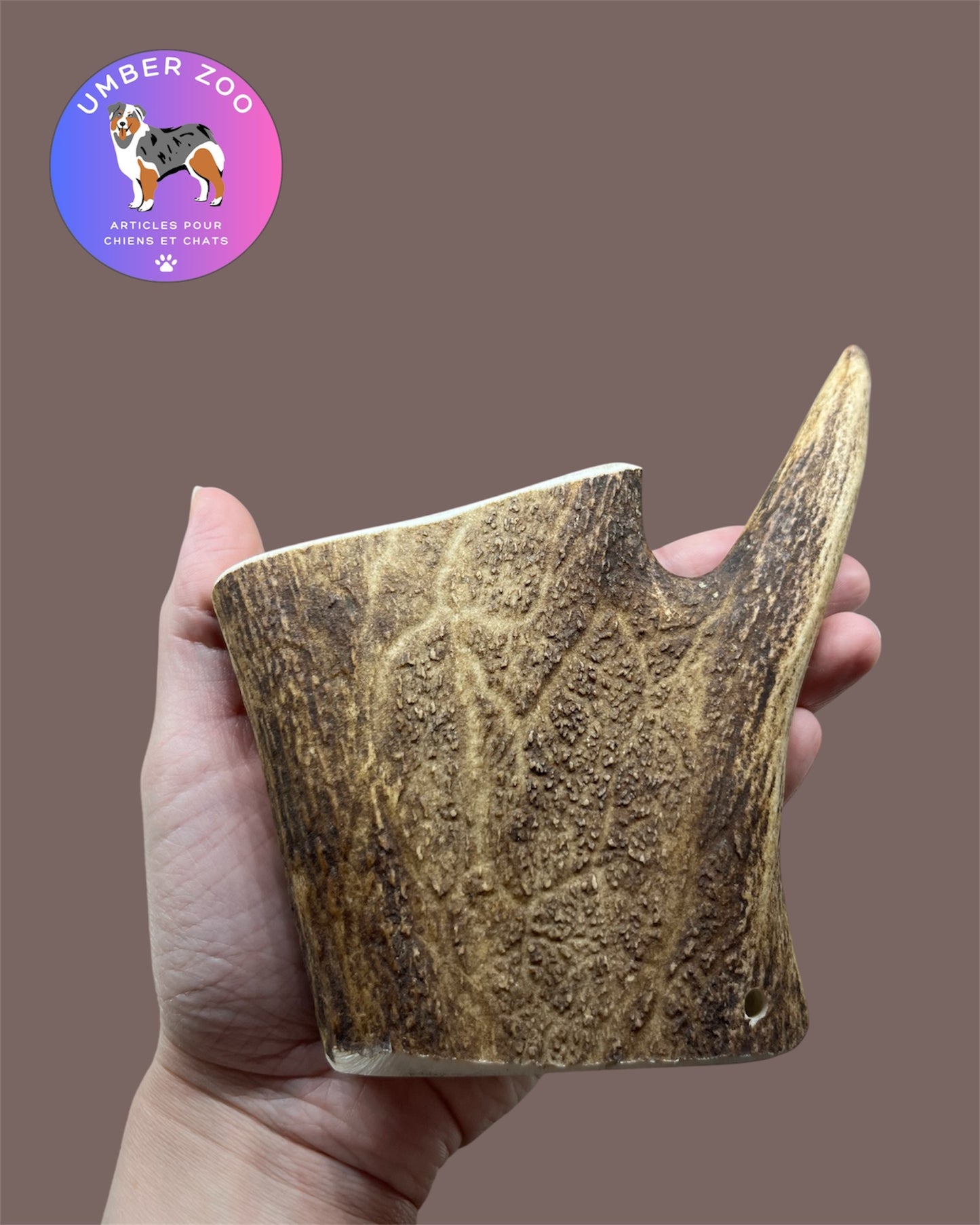 🦌 Bois de Daim Naturel – Taille M