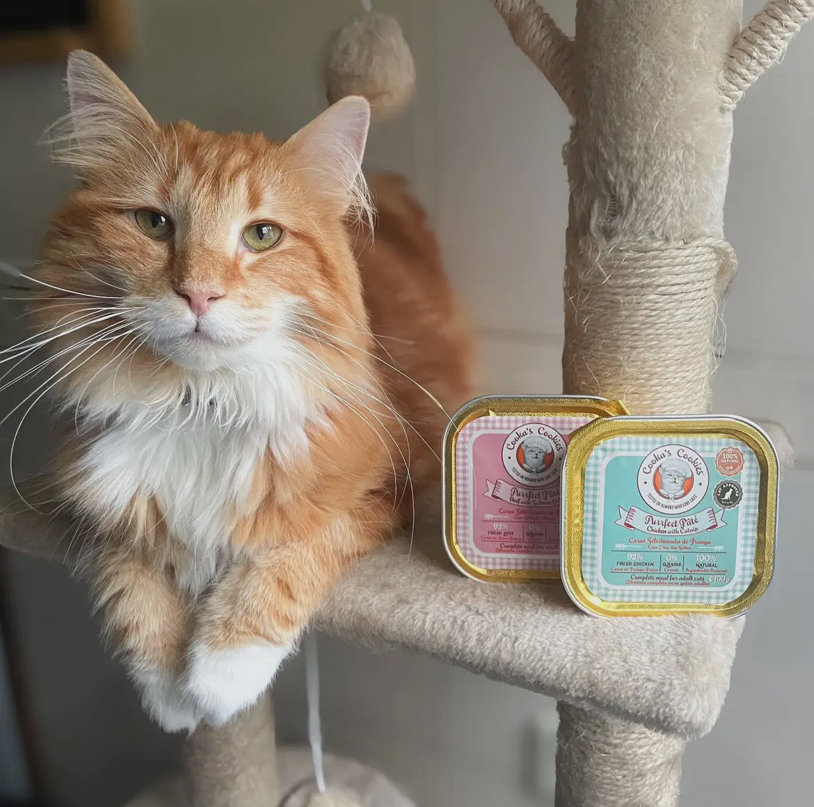 Cooka’s Cookie : Pâtée pour chat au poulet – Boîte 100 g