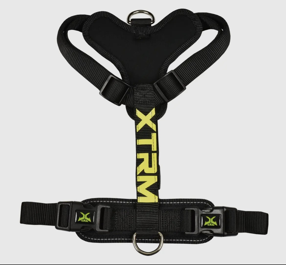 🐾 Harnais Réglable Confort+ – Multi-Tailles – 2 Coloris Disponibles