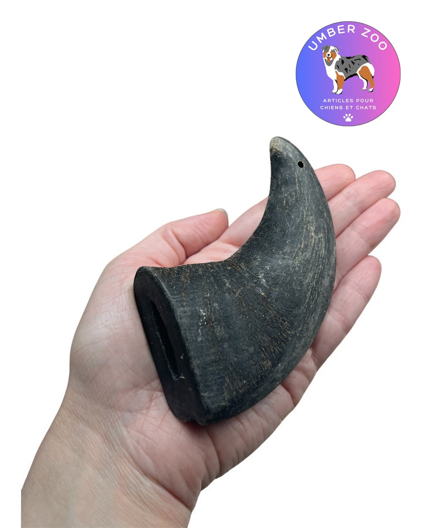🐾 Corne de Buffle Taille S – Mastication 100 % Naturelle 🐾