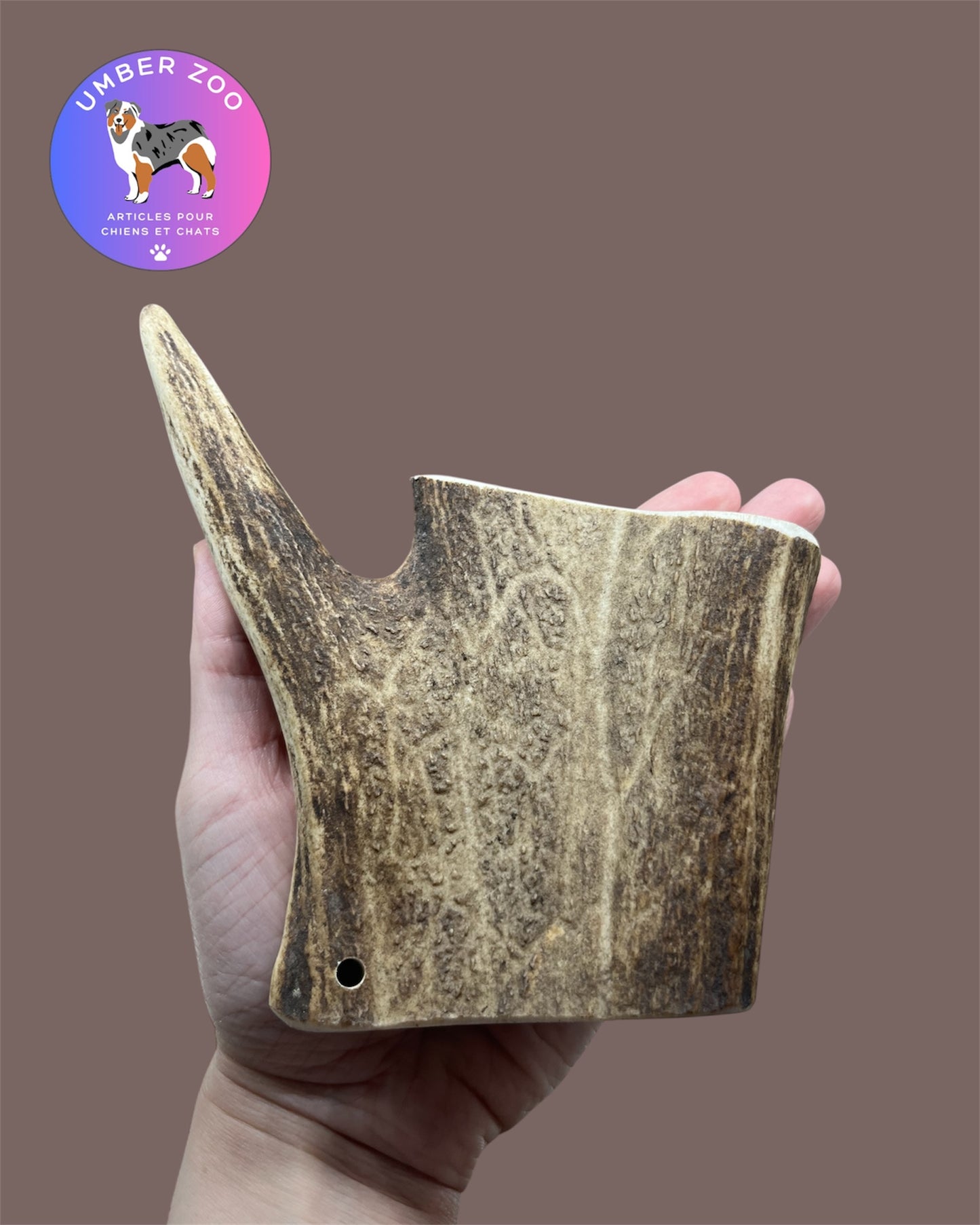 🦌 Bois de Daim Naturel – Taille M