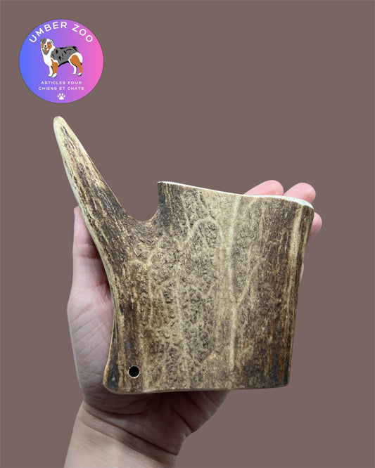 🦌 Bois de Daim Naturel – Taille M