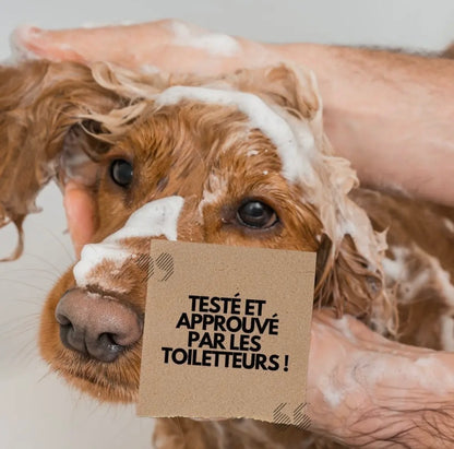 Shampoing chien Hypoallergénique PURALIA – Avoine & Calendula – 250 ml