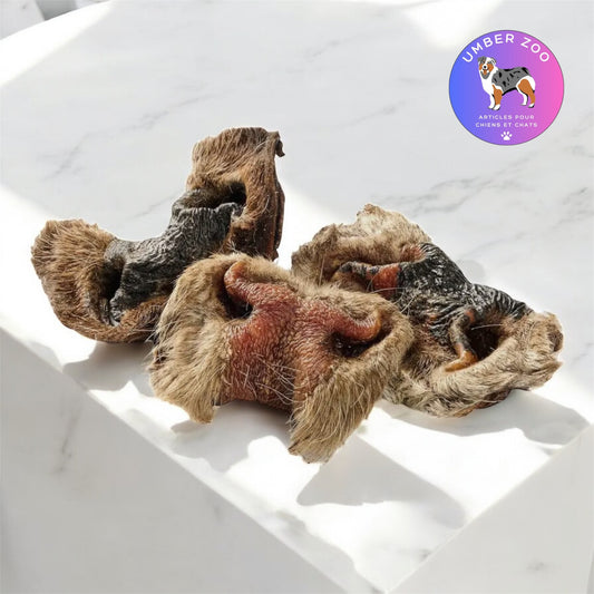 Museau de bœuf avec poils – 100 % naturel – À l’unité