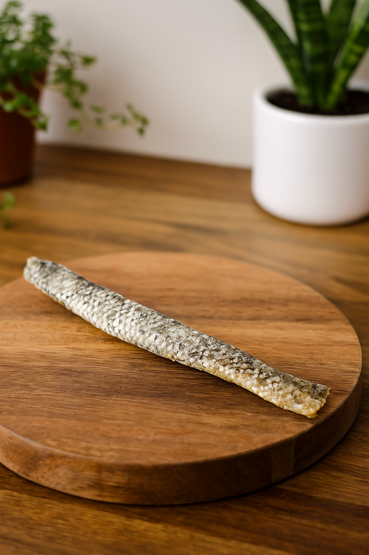 🐟 Peau de Saumon sans chair ≃30 cm – 100 % Naturelle – Pour Chiens, Chats & Furets