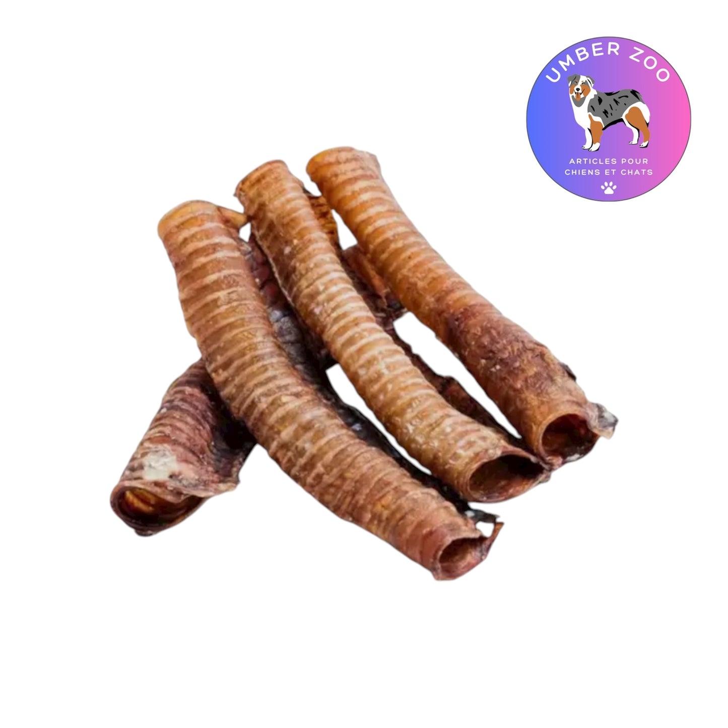 Trachée de bœuf séchée – 30 cm