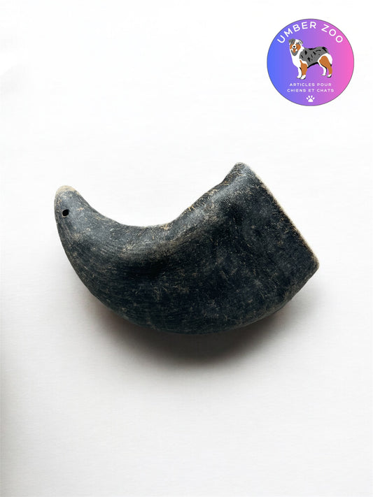 🐾 Corne de Buffle Taille S – Mastication 100 % Naturelle 🐾