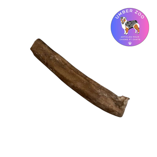 Nerf de Bœuf ≈ 15 cm pour Chien – Mastication Naturelle Longue Durée – À l’unité - Stock Limité