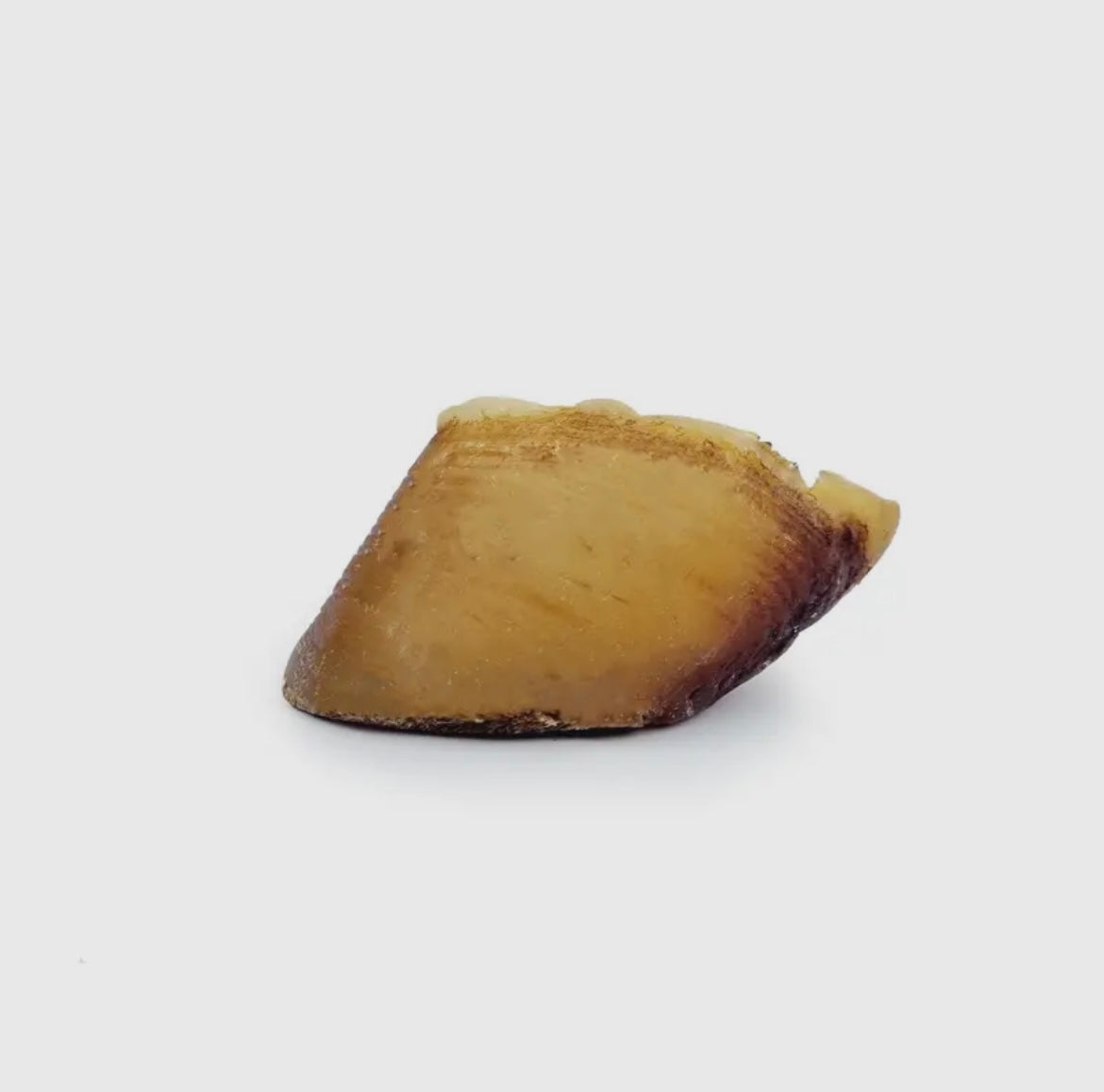 Sabot de bœuf – À l’unité