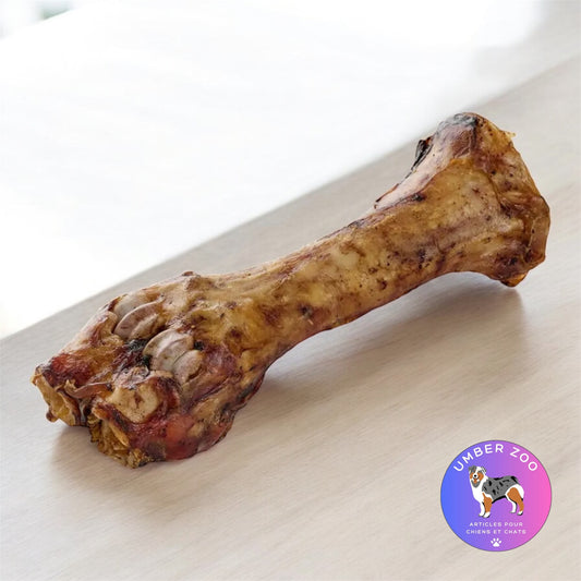 Cuisse de bœuf – 100 % naturelle – À l’unité (≈ 23 à 30 cm)