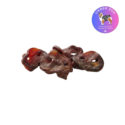 Nez de porc entier séché pour chien – À l’unité