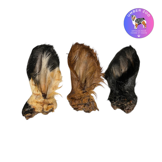 Oreille de Bœuf XL avec Fourrure – À l’unité